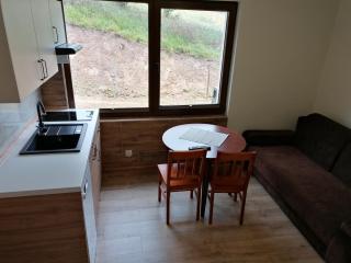 Apartamenty Pod Caryńską - Ustrzyki Górne - 1