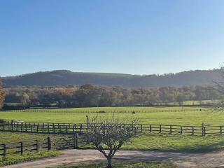 Barn Cottage -Westerlands - Graffham - 3