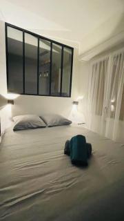 T1 bis cosy et spacieux - wifi - parking gratuit - Angers - 9
