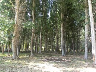 Cabaña Ecologica - Uspallata - 2