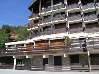 Appartement 8 personnes - Centre village - Parking privatif - FR-1-459-6 - La Clusaz - 9