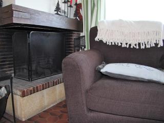 Appartement 3 pièces avec terrasse, parking, cheminée et vue montagne à La Clusaz - FR-1-459-54 - La Clusaz - 4