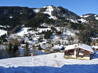 Appartement 3 pièces avec terrasse, parking, cheminée et vue montagne à La Clusaz - FR-1-459-54 - La Clusaz - 2