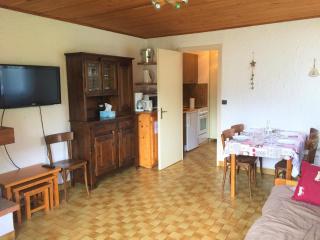 2 pièces proche pistes avec balcon - FR-1-459-63 - La Clusaz - 9
