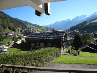 2 pièces proche pistes avec balcon - FR-1-459-63 - La Clusaz - 4