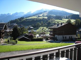 2 pièces proche pistes avec balcon - FR-1-459-63 - La Clusaz - 3