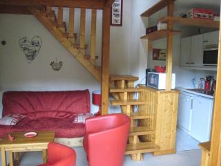 Duplex confortable 6 pers avec parking à La Clusaz - FR-1-459-78 - 9