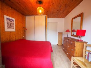 Appartement cosy 2 pièces, balcon sud, proche piscine et pistes, La Clusaz - FR-1-459-114 - 7