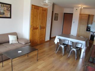 Charmant appartement au centre du village, proche des stations de ski - 4 personnes - FR-1-459-163 - Saint-Jean-de-Sixt - 8