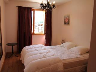 Charmant appartement au centre du village, proche des stations de ski - 4 personnes - FR-1-459-163 - Saint-Jean-de-Sixt - 4