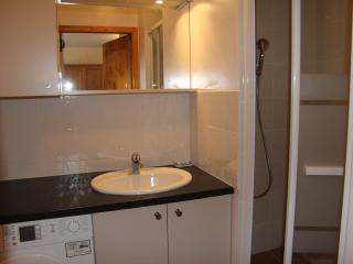 Charmant appartement au centre du village, proche des stations de ski - 4 personnes - FR-1-459-163 - Saint-Jean-de-Sixt - 3