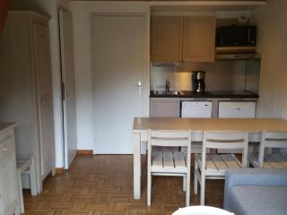 Duplex 10 personnes avec balcons et garage - La Clusaz centre, proche pistes et commerces - FR-1-459-177 - La Clusaz - 0