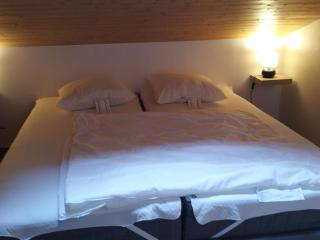 Duplex 10 personnes avec balcons et garage - La Clusaz centre, proche pistes et commerces - FR-1-459-177 - La Clusaz - 3