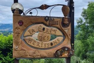 La foret des hérissons - Longessaigne - 9