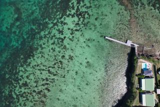 EAST KEYS - Lucy's Bay - Hyacinthe - 7
