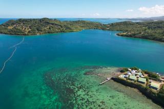 EAST KEYS - Lucy's Bay - Hyacinthe - 6