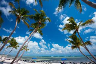 Ocean Hideaway on the Atlantic - Key West - 5