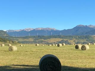 Cabaña Pampa Pinuer Coyhaique - Coihaique - 7