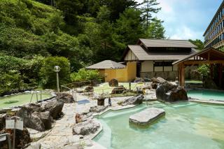 Manza Kogen Hotel - Tsumagoi - 0