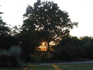 Maison familiale avec piscine, grand jardin clos et équipements de loisirs - FR-1-306-898 - Bonnœuvre - 9