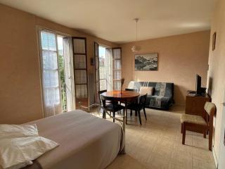 Spacieux studio au centre-ville avec ascenseur et animaux acceptés - FR-1-555-79 - Aix-les-Bains - 0