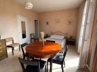 Spacieux studio au centre-ville avec ascenseur et animaux acceptés - FR-1-555-79 - Aix-les-Bains - 9