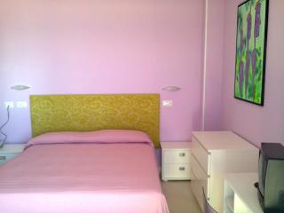 Hotel Flaminio - Cattolica - 5