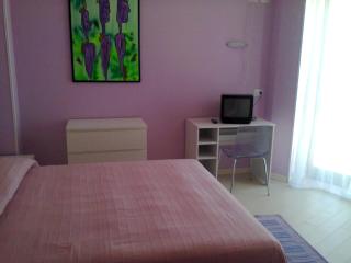 Hotel Flaminio - Cattolica - 1
