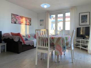 Charmant T3 à 15 min des Thermes de Balaruc, terrasse, clim, wifi et parking gratuit - 4 pers. - FR-1-503-137 - Balaruc-les-Bains - 0