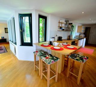 Green haven roofgarden penthouse in central area - Vienna - 9