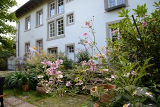Alte Apotheke Bed & Breakfast - Karlsbad - 6