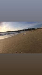 T3 face au Port avec terrasse - 3