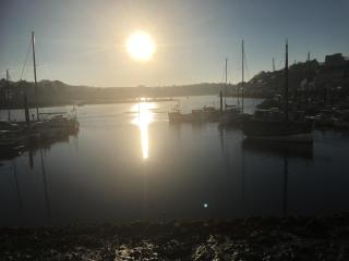 T3 face au Port avec terrasse - 7