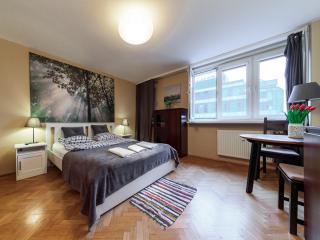 Sliska 10 apartament - Varsavia - 7