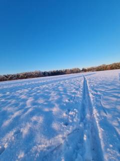 Ferienwohnung Ströbitzer Wiesen - Cottbus - 7
