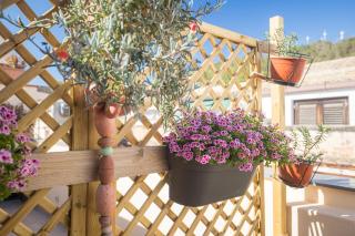 Casa Clelia Piazza - 7