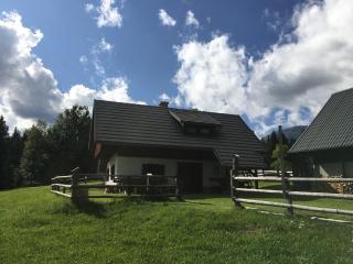 Apartma Hodnik Uskovnica - Srednja Vas v Bohinju - 7