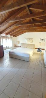 nikol villa elani - Siviri - 3