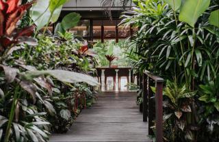 Villa Oia Ubud - Ubud - 7