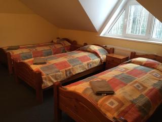 Strenči Guesthouse - Strenči - 6