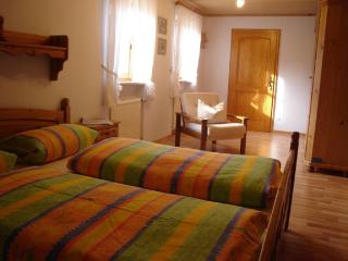 Landhaus Surner - Triftern - 9
