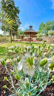 Chambres d'hôtes et Gîtes Les Restanques - 2