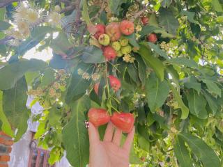 Homestay Miền Biển Vĩnh Hy - 3