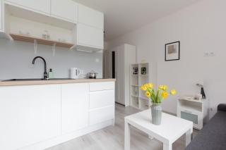 Pet-friendly Studio Apartment Batorego Warsaw by Noclegi Renters - Warsaw - 1