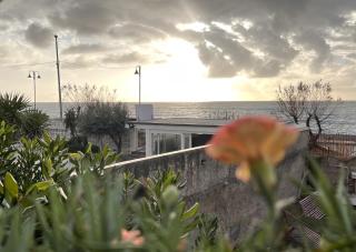 Il regno di Remo - Marina di Fuscaldo - 0