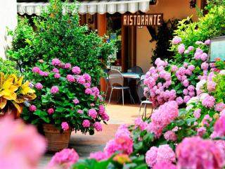 Affittacamere Dal Falco - Pienza - 9