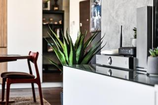 2 bedroom Penthouse in city center, free parking - 1