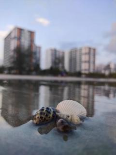 Timurbay Seafront Staycation by Nedd’s Kuantan - Kuantan - 4