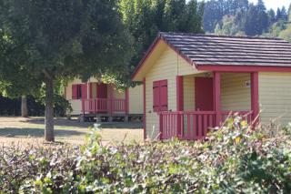 Camping Les Feuilles Chauffailles - 3