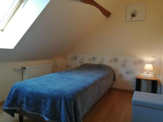 gite l'opale - Lailly-en-Val - 1